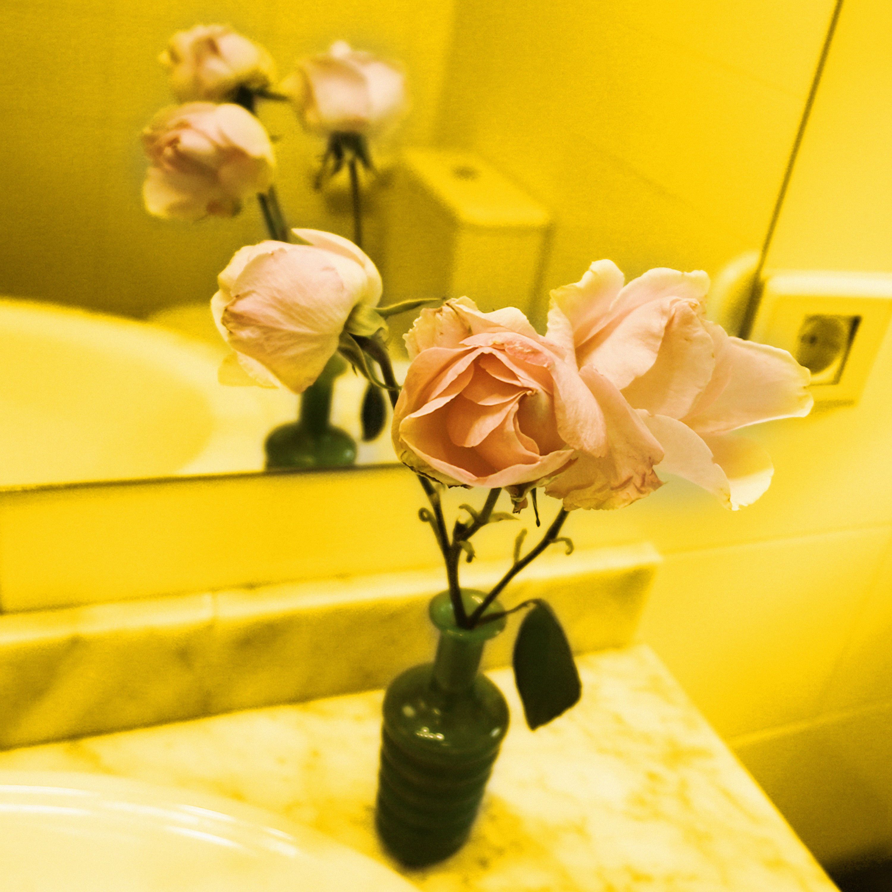 7 Trío rosa-rosae para Claude Monet. Fotografía digital. 70x70 cm. 2007
